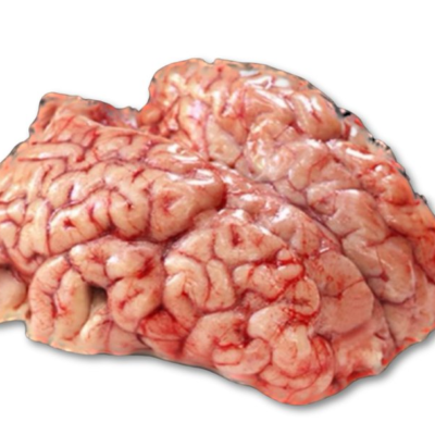 מח עגל | קפוא